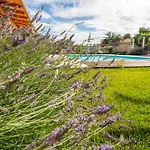 Bozini Dvori- Villa With Pool, Sauna , Jacuzzi And Multifunkcional Sport Court Villa Biograd Na Moru
