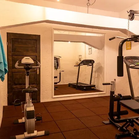 Bozini Dvori- With Pool, Sauna , Jacuzzi And Multifunkcional Sport Court *