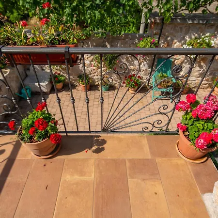 Villa Bozini Dvori- With Pool, Sauna , Jacuzzi And Multifunkcional Sport Court Biograd Na Moru