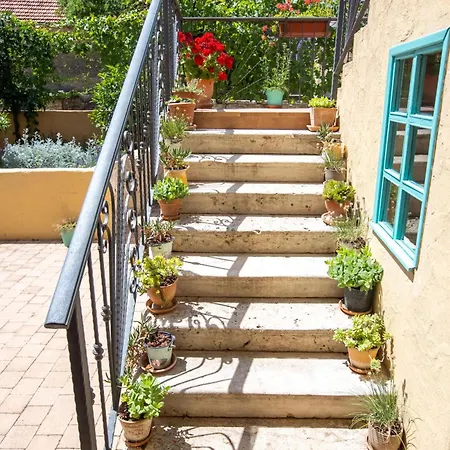 Bozini Dvori- With Pool, Sauna , Jacuzzi And Tennis Court * Biograd Na Moru