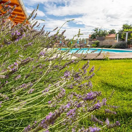 Bozini Dvori- With Pool, Sauna , Jacuzzi And Multifunkcional Sport Court Villa Biograd Na Moru